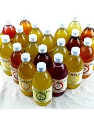 BioKombucha 33 cl
