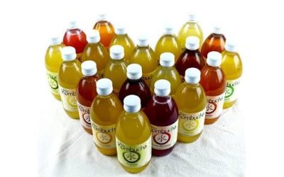 BioKombucha 33 cl